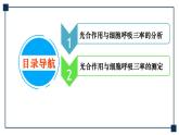 微专题02 光合作用与细胞呼吸三率的分析与测定 课件