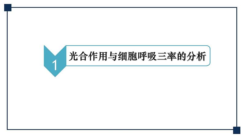 微专题02 光合作用与细胞呼吸三率的分析与测定 课件05