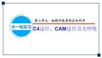 微专题03 C4途径、CAM途径及光呼吸 课件