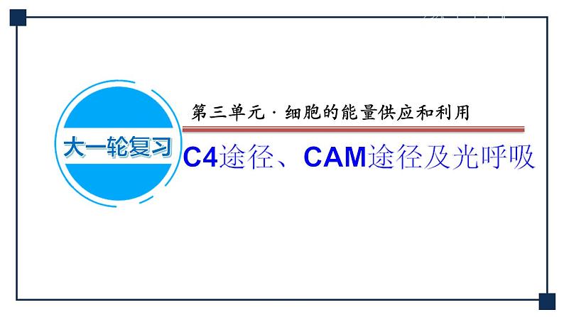 微专题03 C4途径、CAM途径及光呼吸 课件01