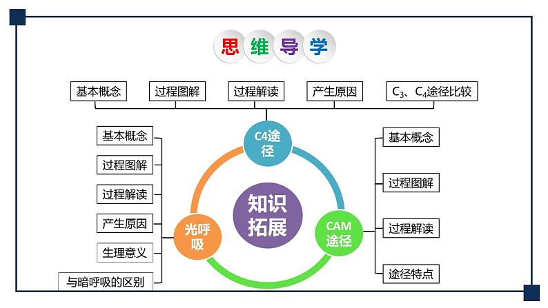 微专题03 C4途径、CAM途径及光呼吸 课件03