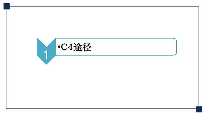 微专题03 C4途径、CAM途径及光呼吸 课件04