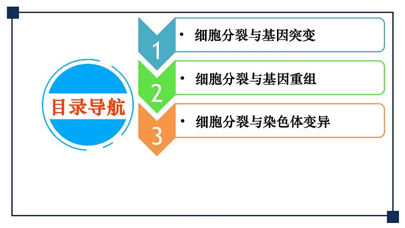 微专题04 细胞分裂与可遗传变异的关系 课件02