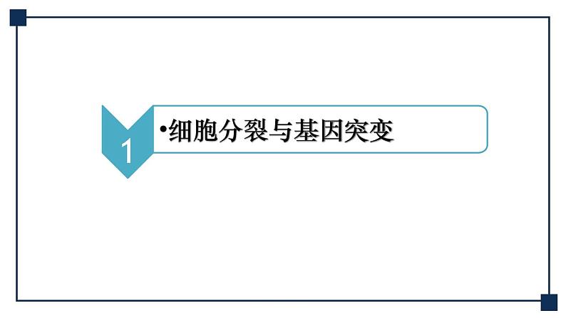 微专题04 细胞分裂与可遗传变异的关系 课件03