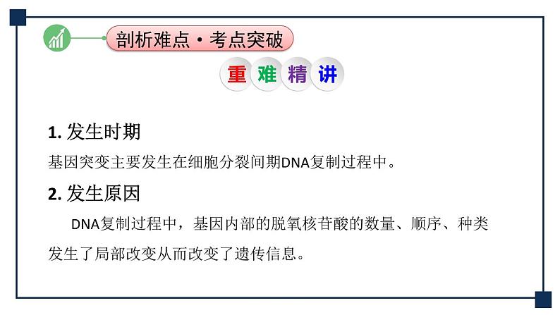 微专题04 细胞分裂与可遗传变异的关系 课件04