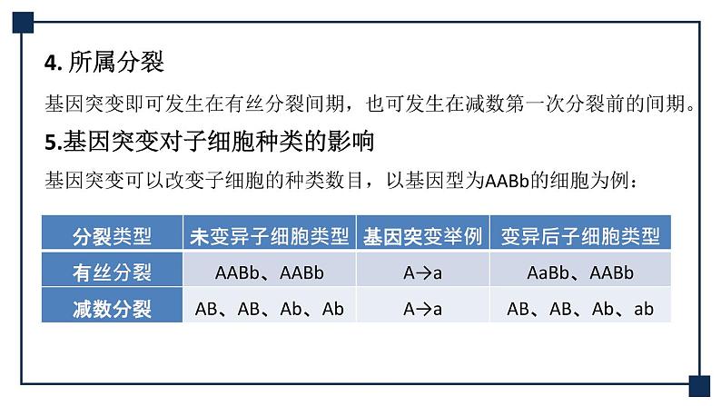 微专题04 细胞分裂与可遗传变异的关系 课件06