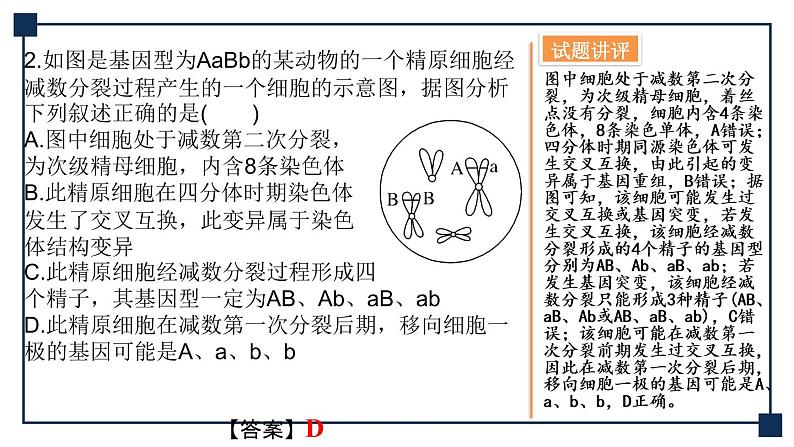 微专题04 细胞分裂与可遗传变异的关系 课件08