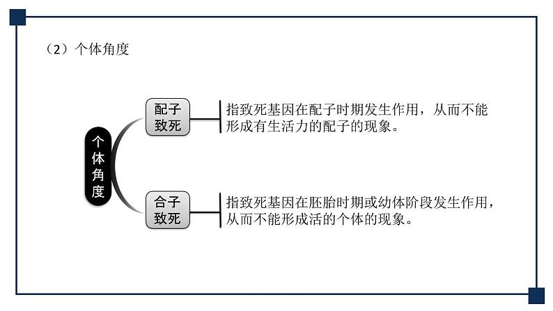 微专题06 分离定律中的特殊情况 课件05