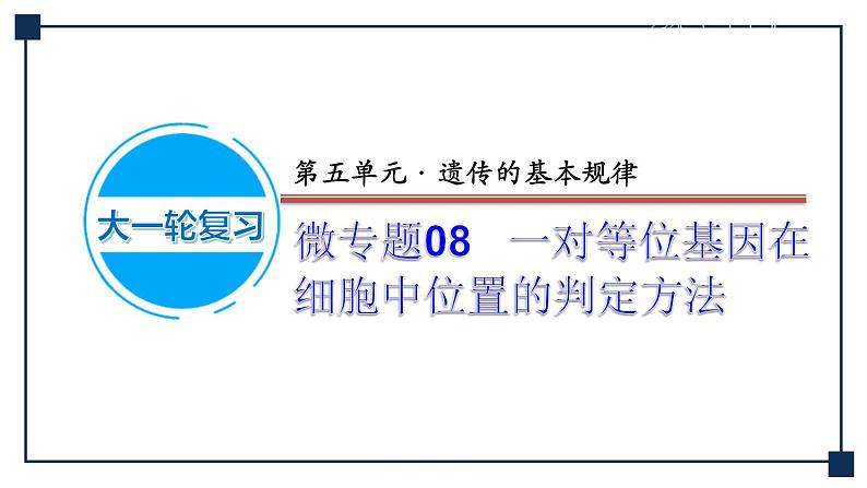 微专题08 一对等位基因在细胞中位置的判定方法 课件01