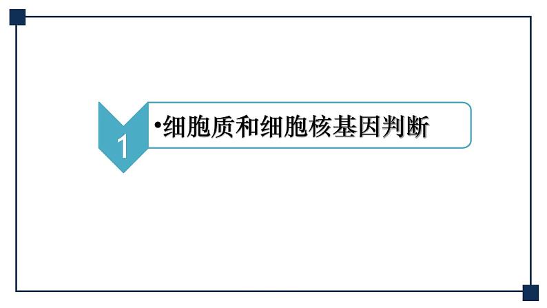 微专题08 一对等位基因在细胞中位置的判定方法 课件03