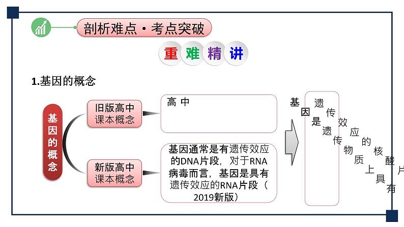 微专题08 一对等位基因在细胞中位置的判定方法 课件04