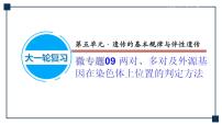 微专题09 两对、多对及外源基因在染色体上位置的判定方法 课件