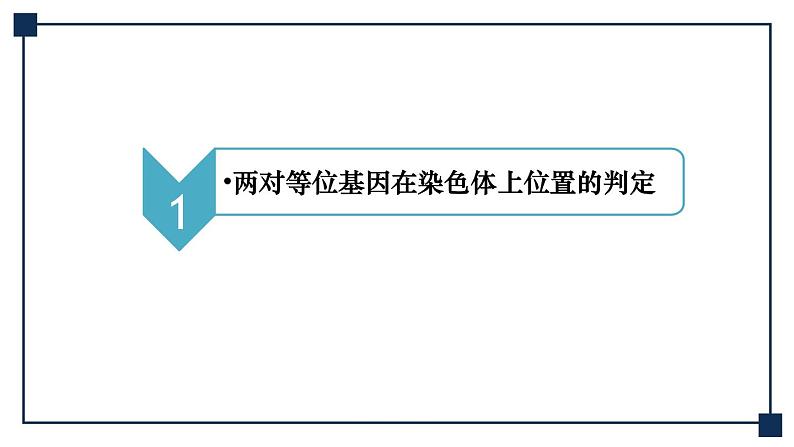 微专题09 两对、多对及外源基因在染色体上位置的判定方法 课件第4页