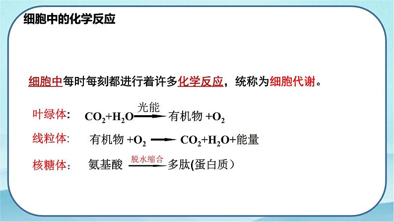 5.1.1 酶的作用和本质-高中生物 课件+练习（人教版2019 必修一）03