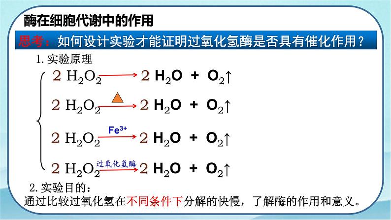 5.1.1 酶的作用和本质-高中生物 课件+练习（人教版2019 必修一）07