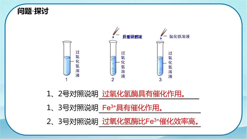 5.1.2 酶的特性-高中生物 课件+练习（人教版2019 必修一）02