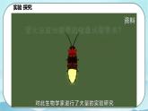 5.2 细胞的能量“货币”ATP-高中生物 课件+练习（人教版2019 必修一）