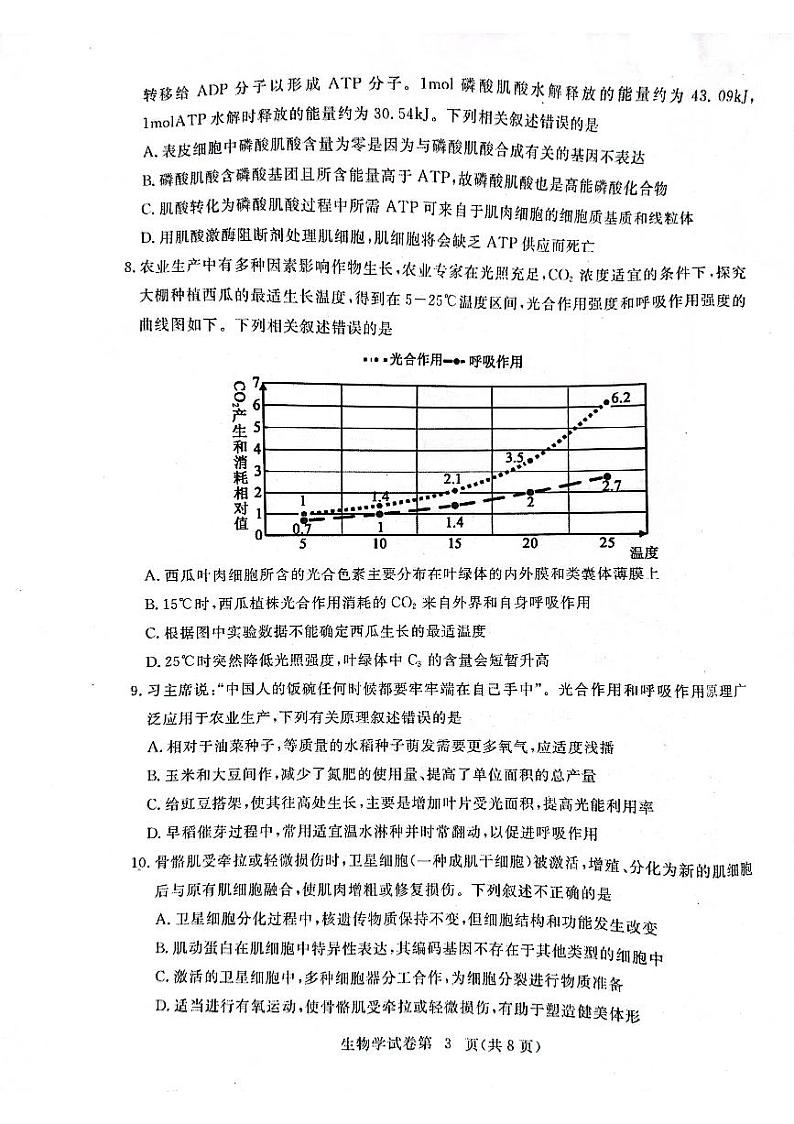 2023黄冈高三上学期期中考试生物试题扫描版含答案03