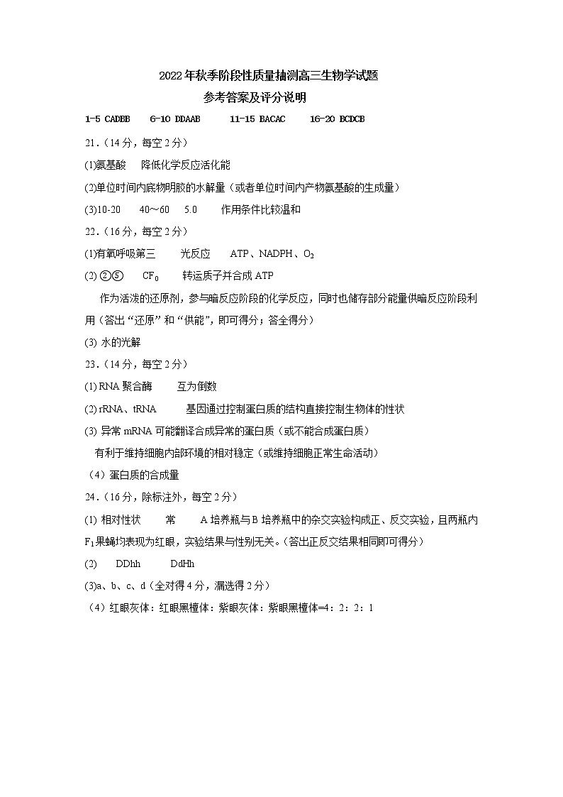 2023黄冈高三上学期期中考试生物试题扫描版含答案01