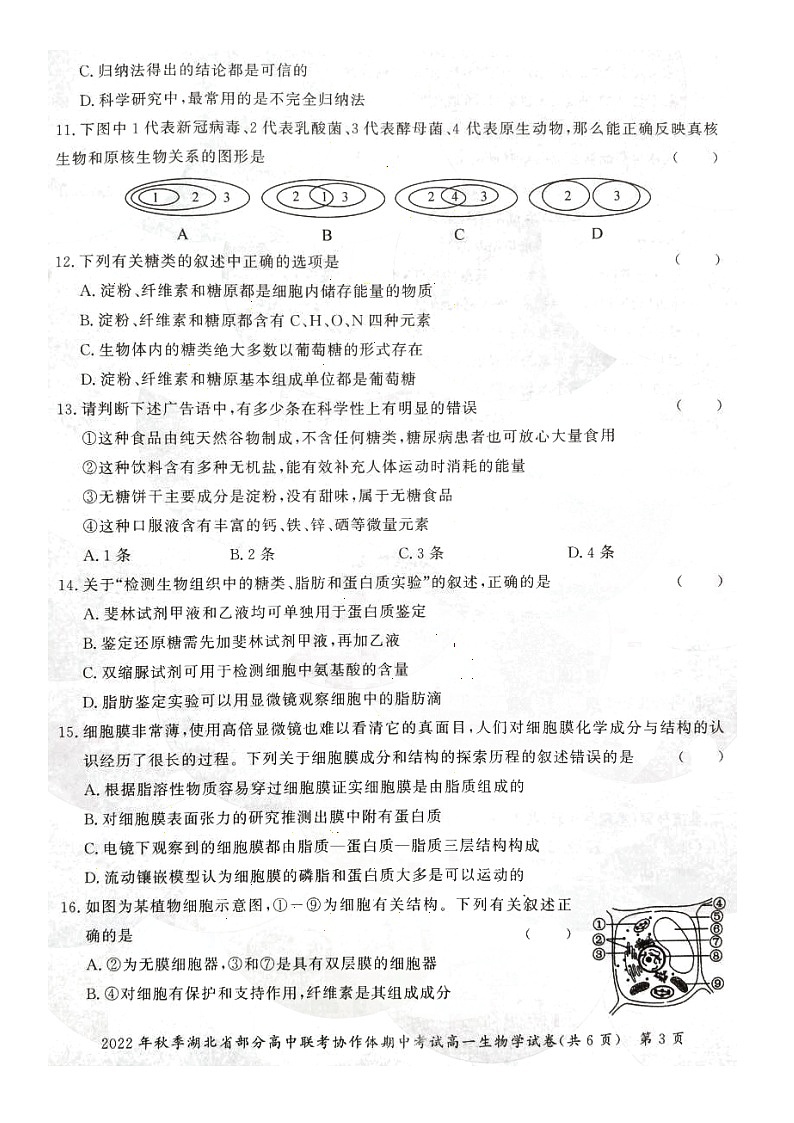2023湖北省部分高中联考协作体高一上学期期中生物试题含答案03