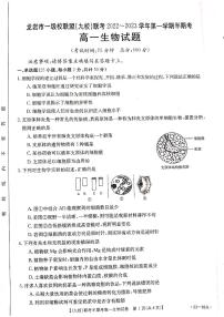 2023龙岩一级联盟（九校）联考高一上学期期中考试生物PDF版含答案