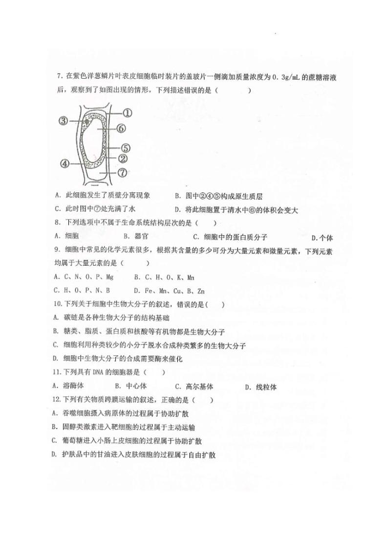 黑龙江省龙西北八校联合体2022-2023学年高三上学期开学考试生物试题及答案02