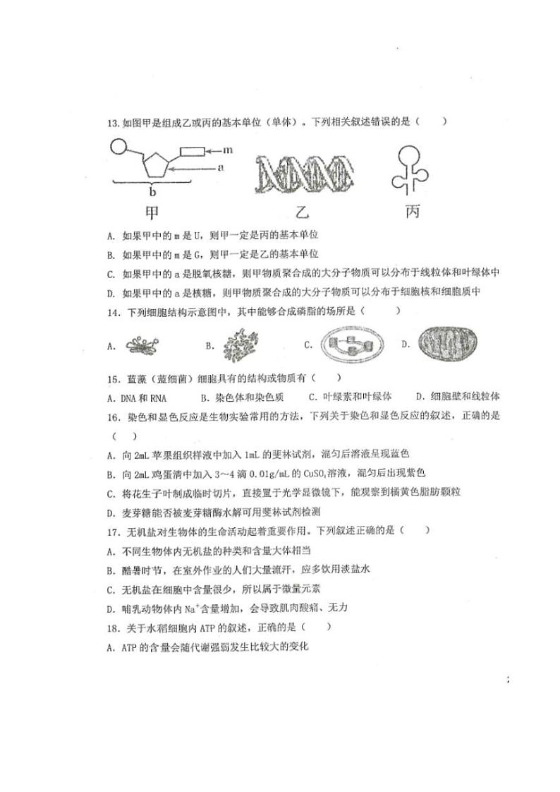 黑龙江省龙西北八校联合体2022-2023学年高三上学期开学考试生物试题及答案03