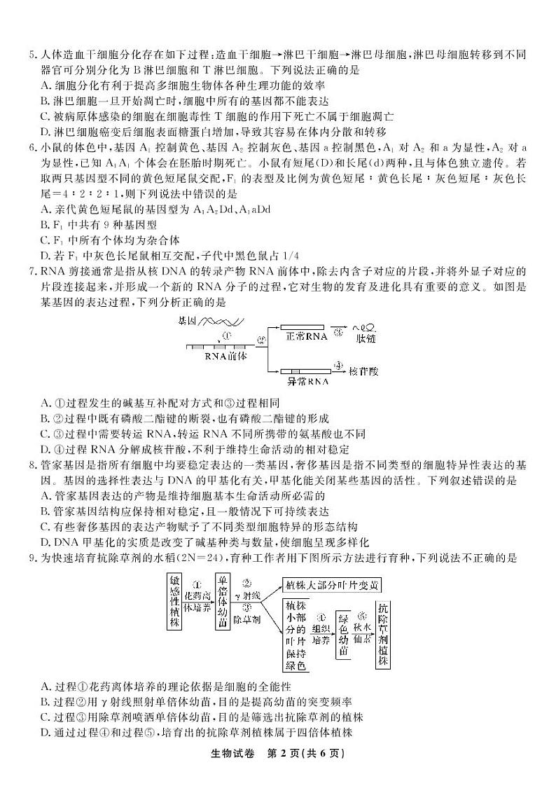 2023届安徽省蚌埠市高三上学期第一次教学质量检查生物试题及答案02