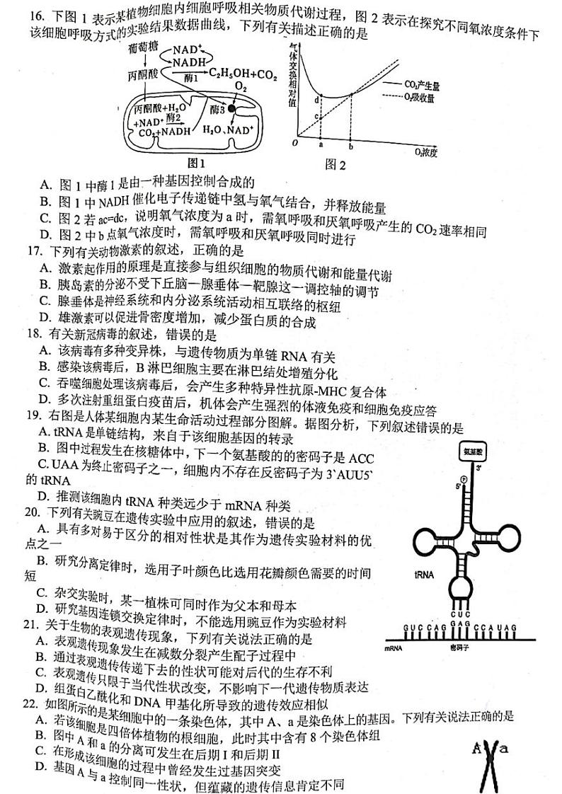 2022年8月浙江省山水联盟高三联考生物试题及答案03