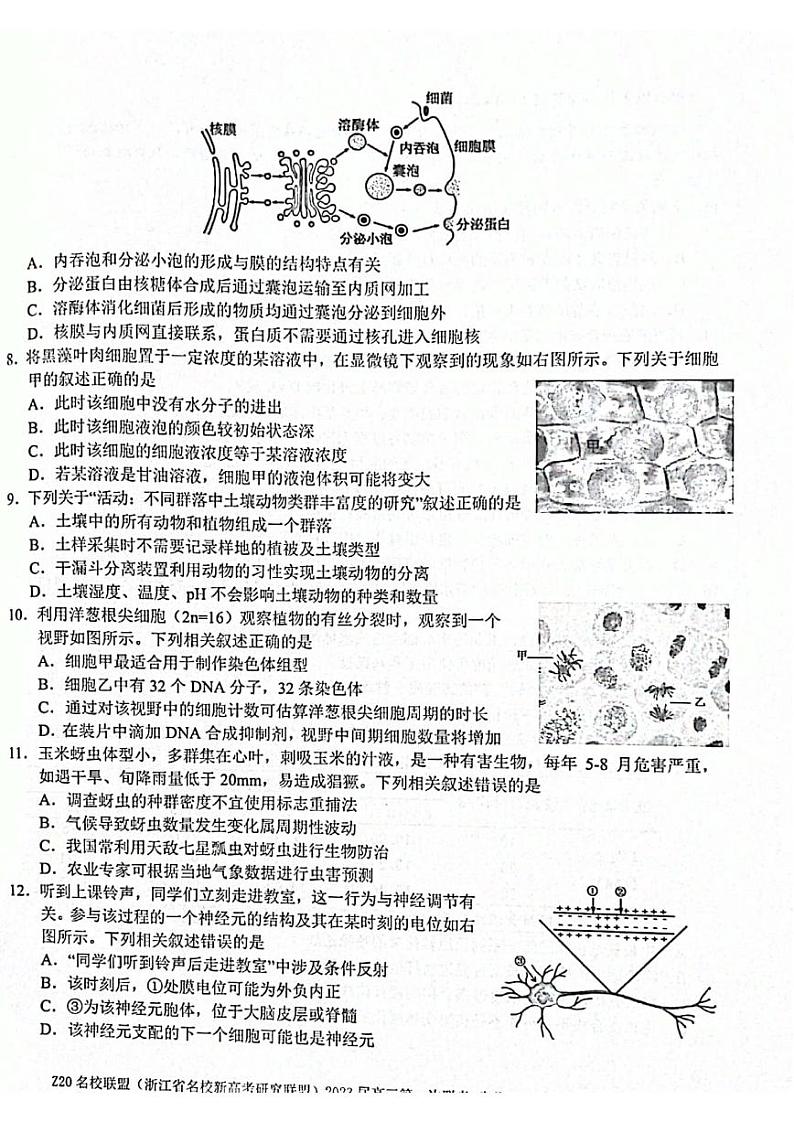 2023届Z20名校联盟(浙江省名校新高考研究联盟)高三第一次联考生物试题含答案02