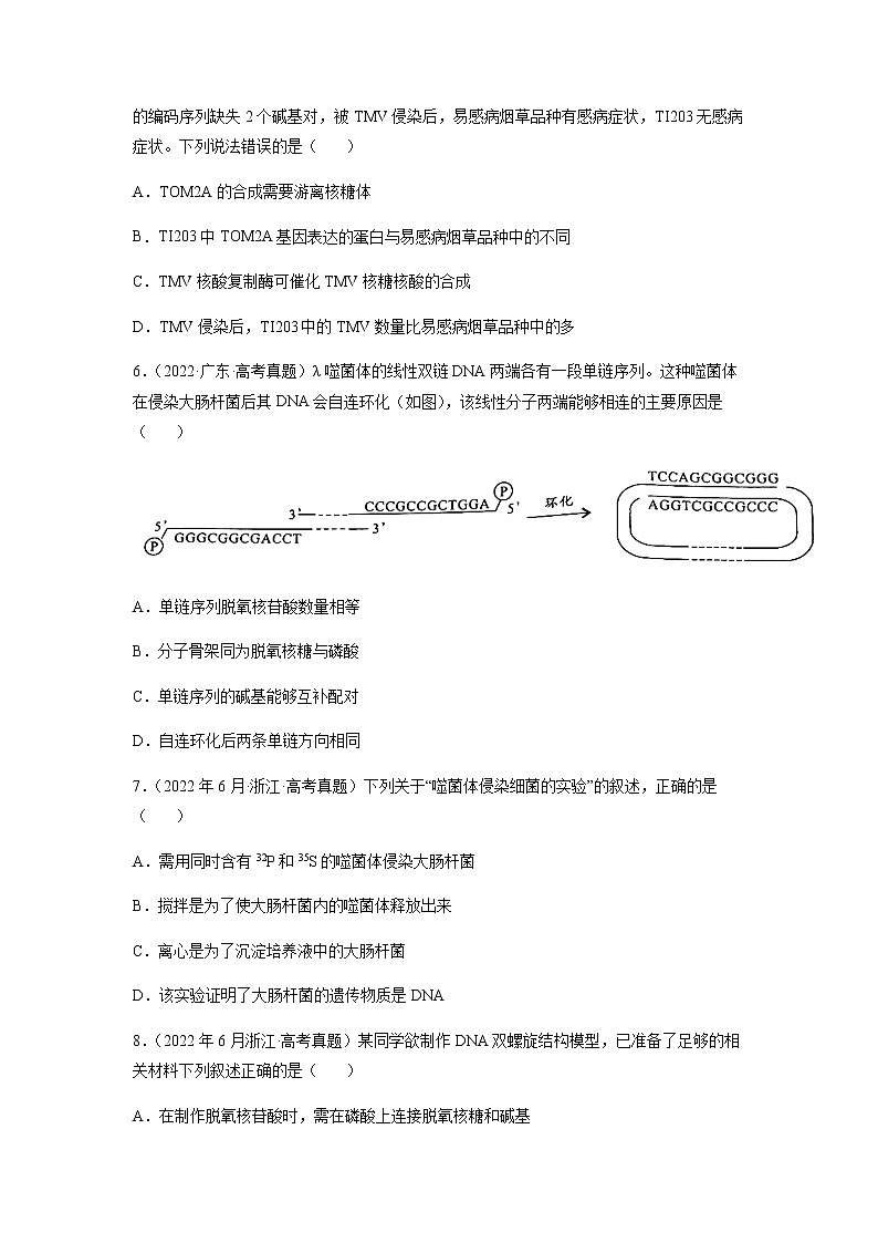 专题05 遗传的分子基础-十年（2013-2022）高考生物真题分项汇编（全国通用）（原卷版）第2页