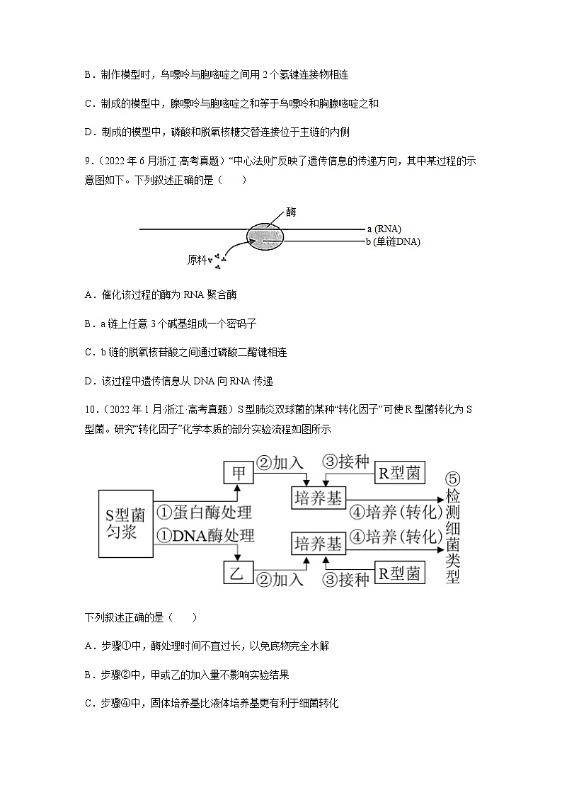 专题05 遗传的分子基础-十年（2013-2022）高考生物真题分项汇编（全国通用）（原卷版）第3页