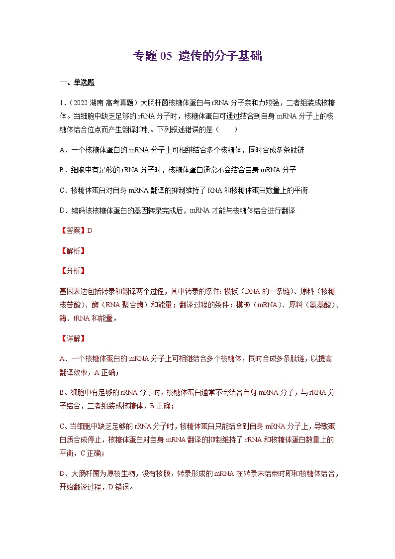 专题05 遗传的分子基础-十年（2013-2022）高考生物真题分项汇编（全国通用）（解析版）第1页