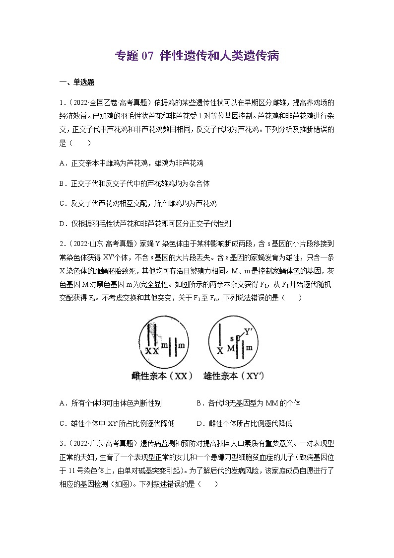 专题07 伴性遗传和人类遗传病-十年（2013-2022）高考生物真题分项汇编（全国通用）（原卷版）第1页