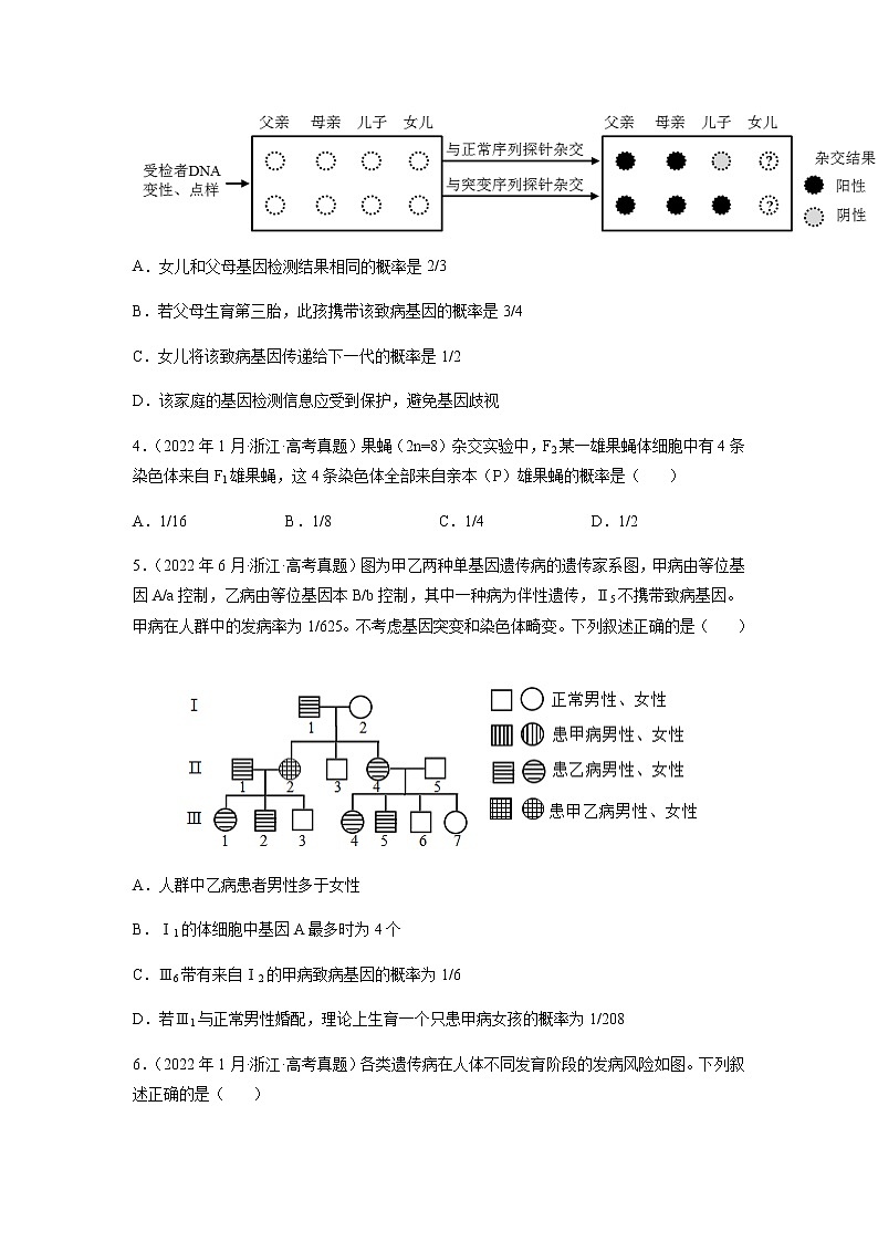 专题07 伴性遗传和人类遗传病-十年（2013-2022）高考生物真题分项汇编（全国通用）（原卷版）第2页