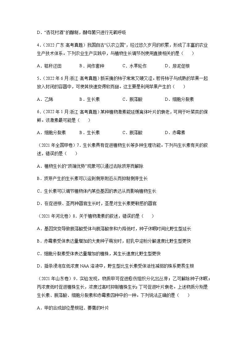 专题10 植物生命活动的调节-十年（2013-2022）高考生物真题分项汇编（全国通用）（原卷版）第2页