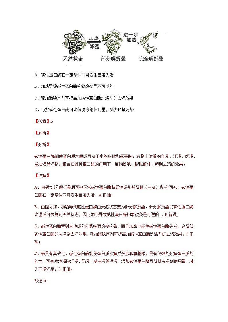 专题13 发酵工程-十年（2013-2022）高考生物真题分项汇编（全国通用）03