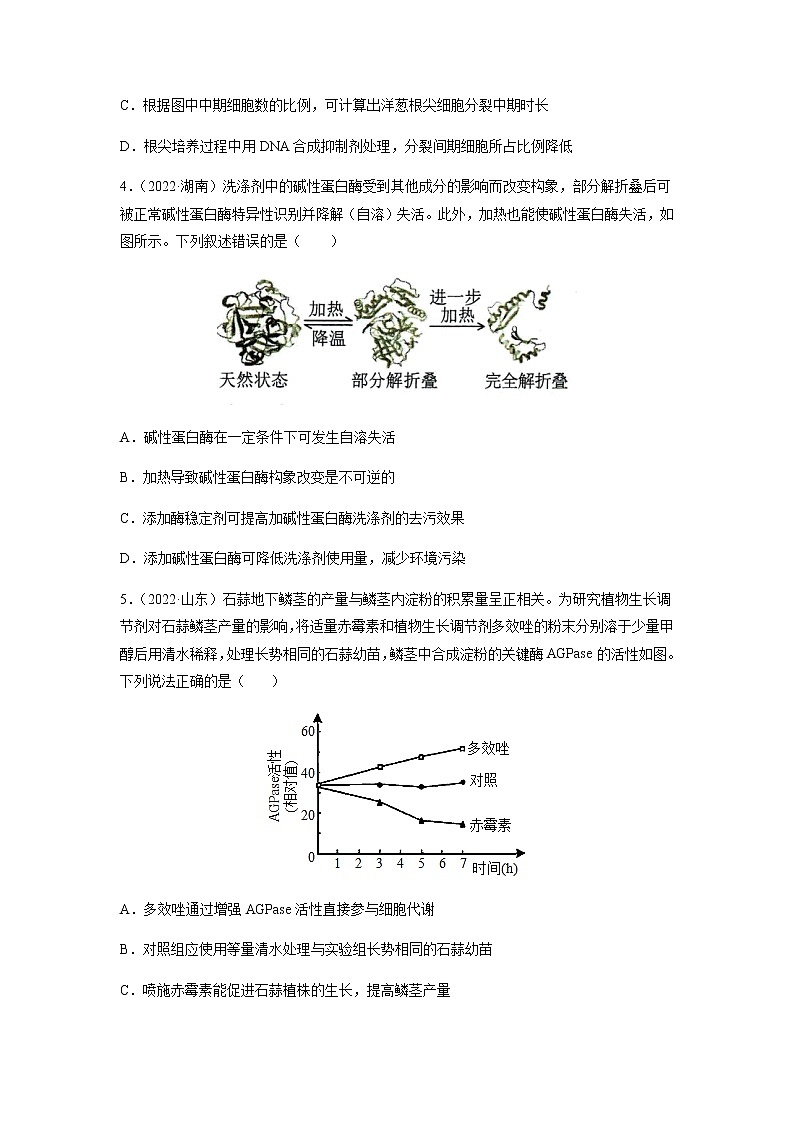 专题15 实验与探究-十年（2013-2022）高考生物真题分项汇编（全国通用）（原卷版）第2页
