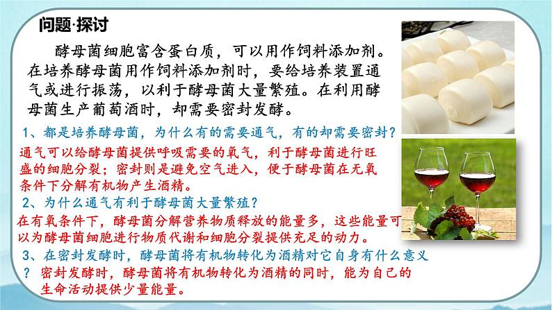 5.3 细胞呼吸的原理和应用（第1课时）-高中生物 课件+练习（人教版2019 必修一）02