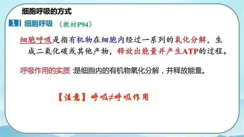 5.3 细胞呼吸的原理和应用（第1课时）-高中生物 课件+练习（人教版2019 必修一）04