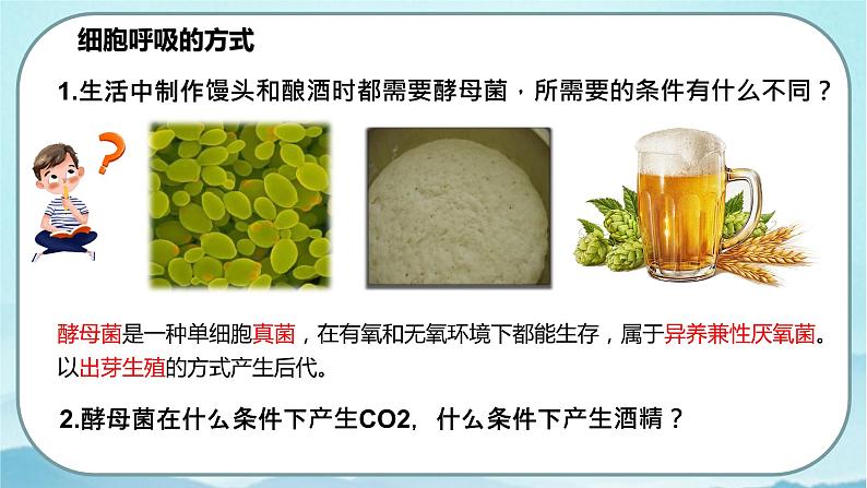 5.3 细胞呼吸的原理和应用（第1课时）-高中生物 课件+练习（人教版2019 必修一）05
