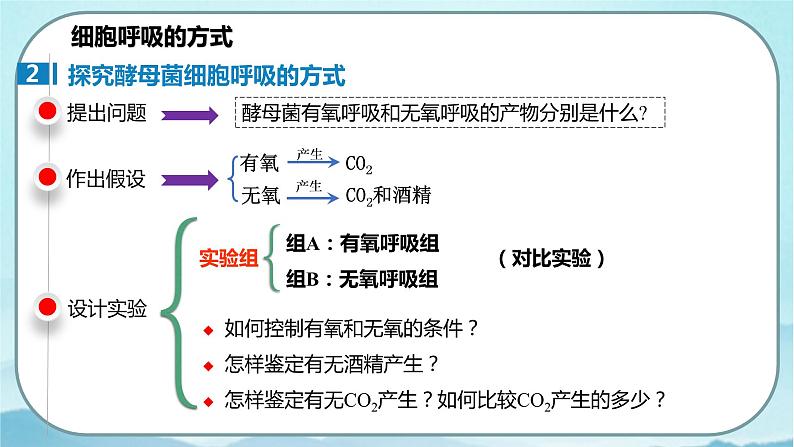 5.3 细胞呼吸的原理和应用（第1课时）-高中生物 课件+练习（人教版2019 必修一）06