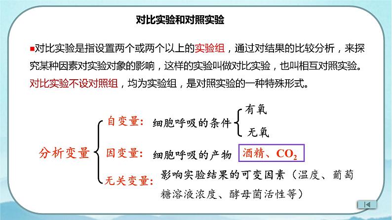 5.3 细胞呼吸的原理和应用（第1课时）-高中生物 课件+练习（人教版2019 必修一）07