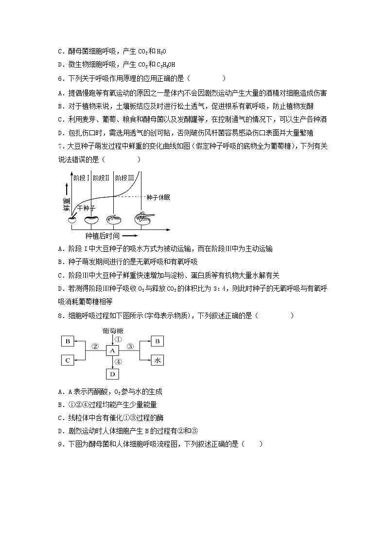 5.3 细胞呼吸的原理和应用（第2课时）-高中生物 课件+练习（人教版2019 必修一）02
