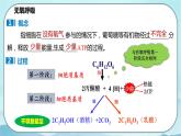 5.3 细胞呼吸的原理和应用（第2课时）-高中生物 课件+练习（人教版2019 必修一）