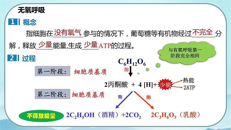 5.3 细胞呼吸的原理和应用（第2课时）-高中生物 课件+练习（人教版2019 必修一）04