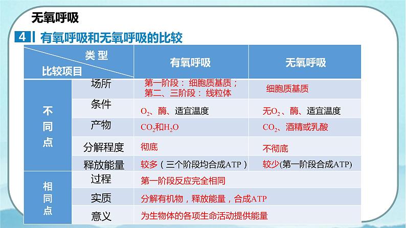 5.3 细胞呼吸的原理和应用（第2课时）-高中生物 课件+练习（人教版2019 必修一）06