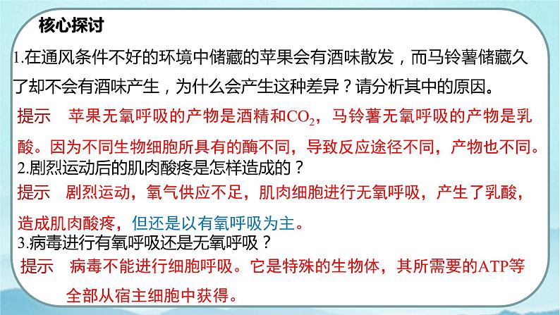 5.3 细胞呼吸的原理和应用（第2课时）-高中生物 课件+练习（人教版2019 必修一）08