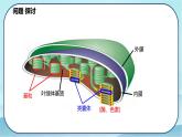 5.4.2 光合作用的原理和应用-高中生物 课件+练习（人教版2019 必修一）