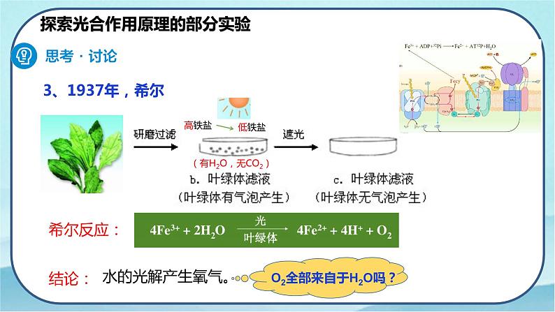 5.4.2 光合作用的原理和应用-高中生物 课件+练习（人教版2019 必修一）07